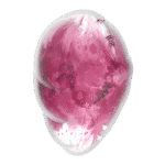 Satisfyer luchtdruk vibrator – App bestuurbare vibrator – Cloud Dancer - Rode Print Satisfyer - Image 4