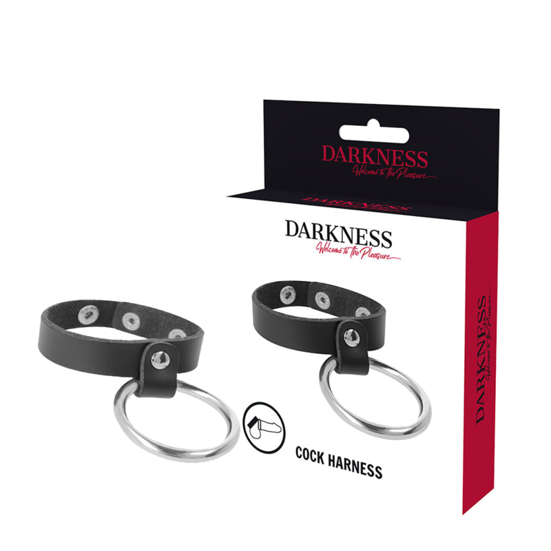 DARKNESS metalen ring voor penis en testikels