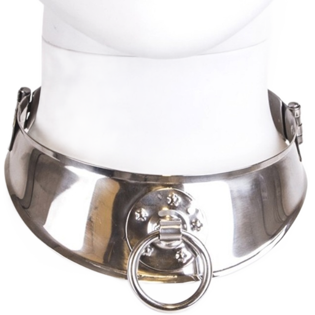 METAL HARD halsband met ring